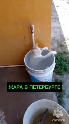 #_      