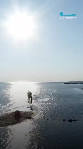   ,  ,           