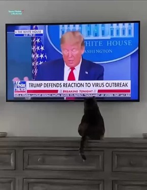       , ,   