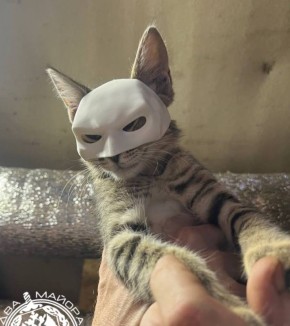  :   
