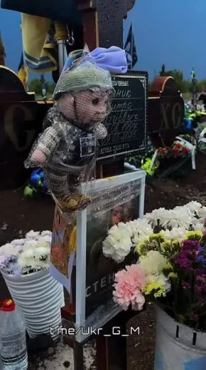      &quot;&quot;,       