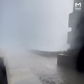                  ,    