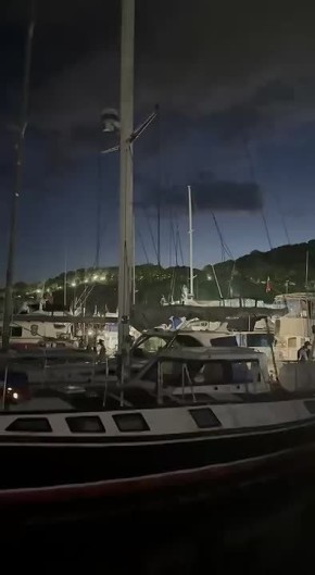  :       ,        ,              31 :