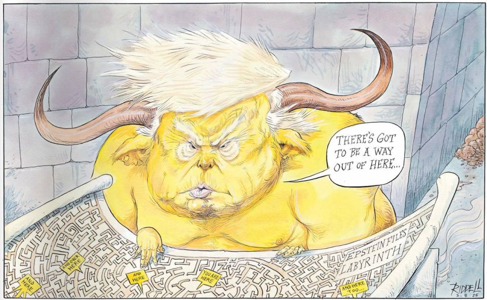  :  The Observer     ,   ,      