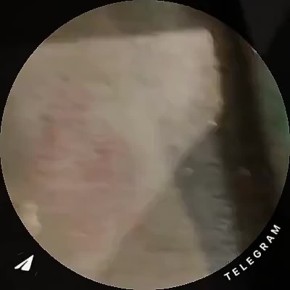   :         