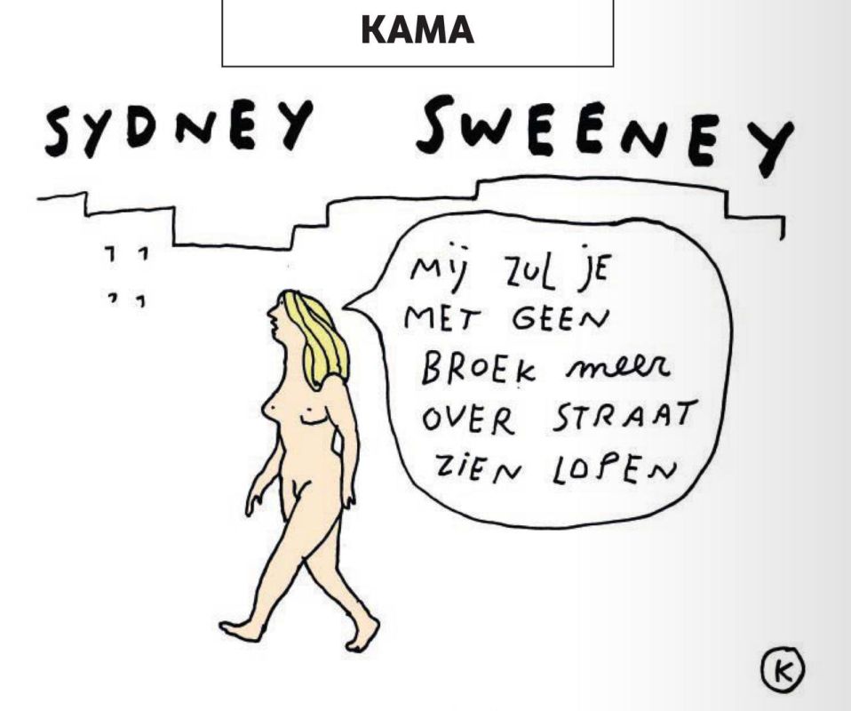  :     ,        ,          