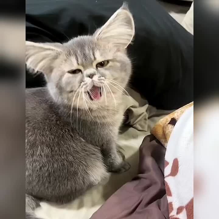  :     ?