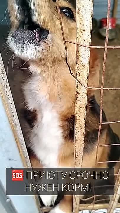 :   !.    !   