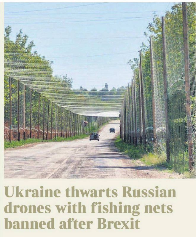  : The Times     ,        ,       