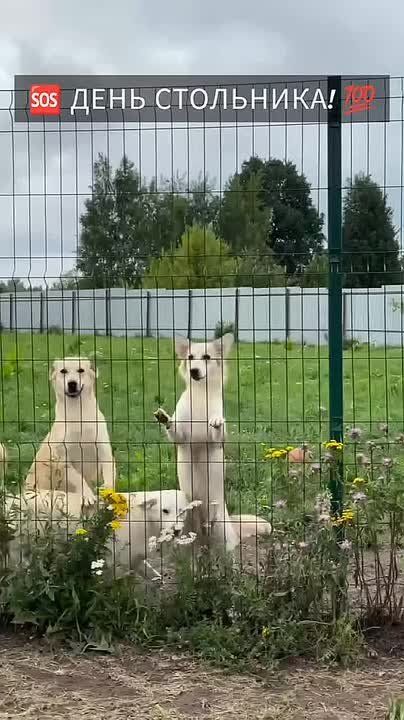  :  .         