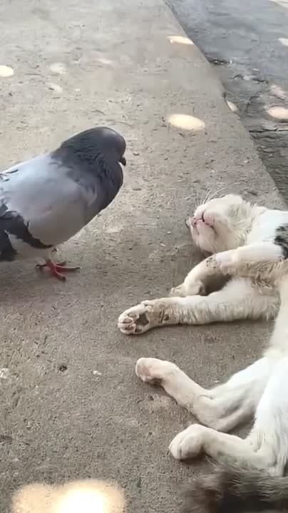  :       ?