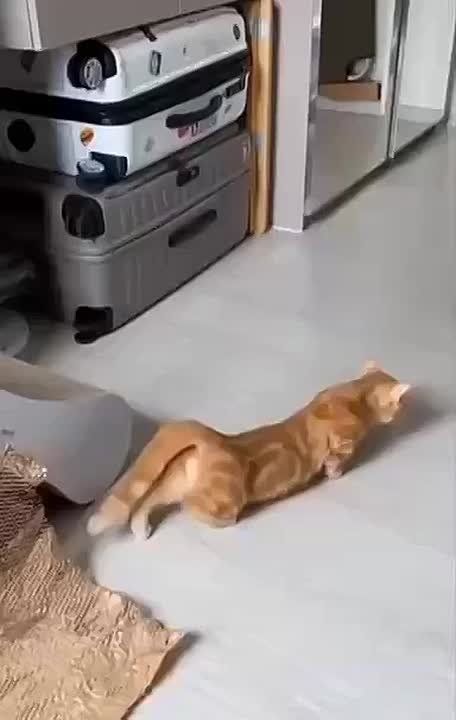  :       -      