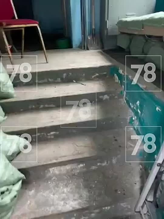        :       