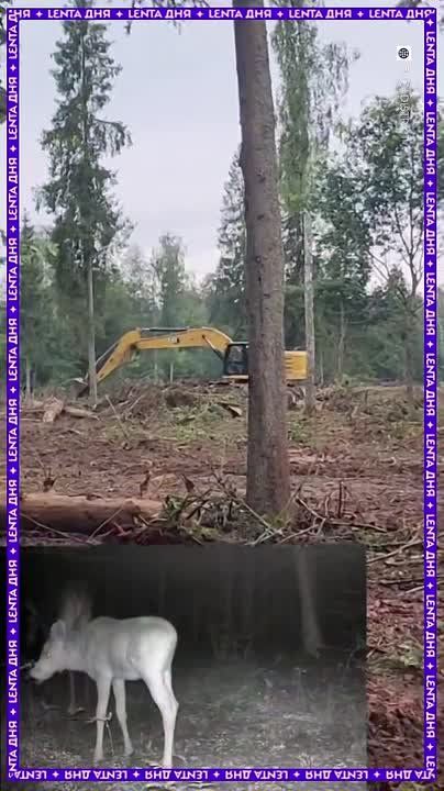  :           