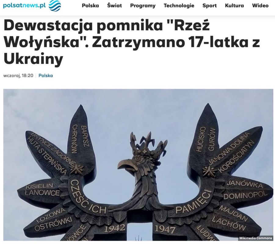  :   ,           
