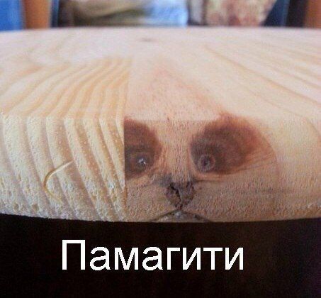  :    :. &quot;  ,  -