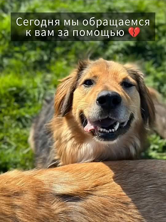  :   !.           !      !  !