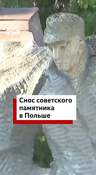  :  -     -   