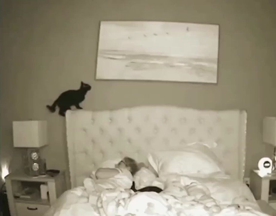  :  