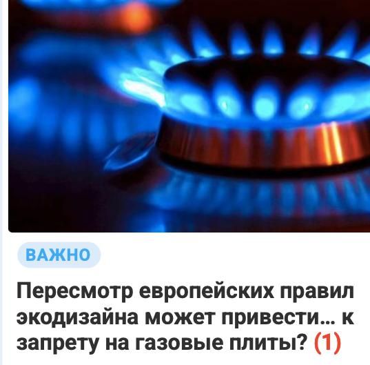  :  ,    ?