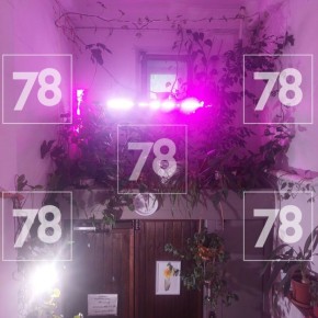   30         ,   