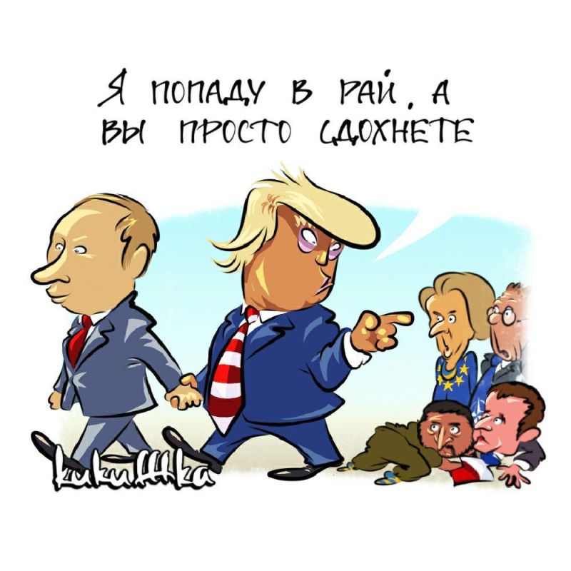  :  Ѡ      - .