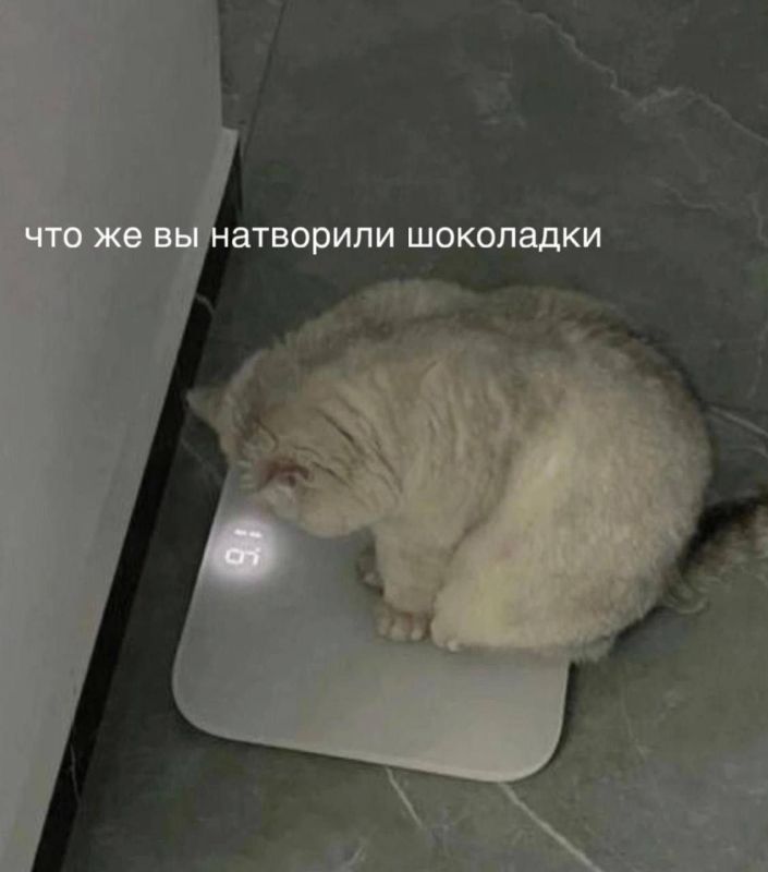  :     -   23-00