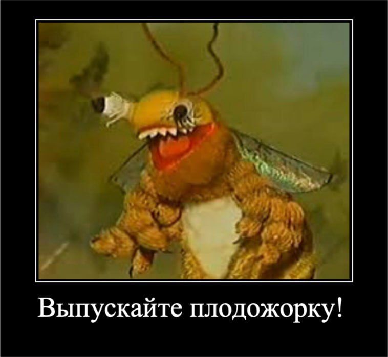  :     ,      