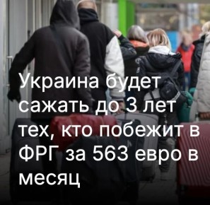  :         ( 1,65   2024 )