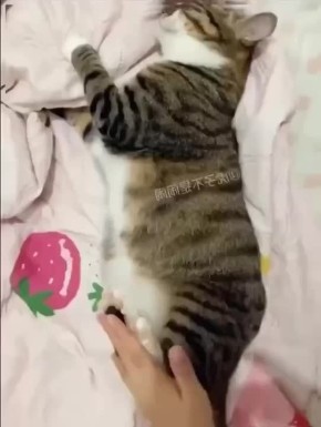  :   
