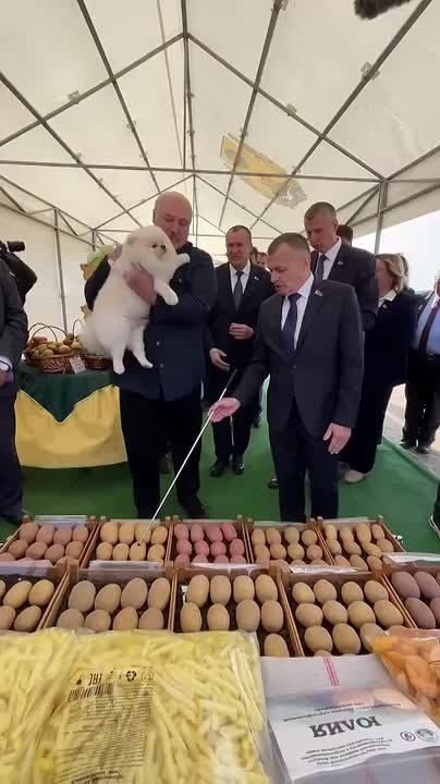  :              ,                ...