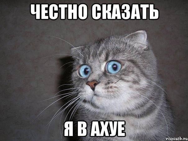  :   ,       