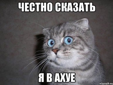  :   ,       