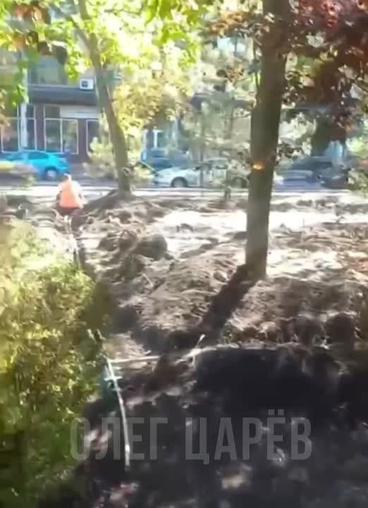  :                