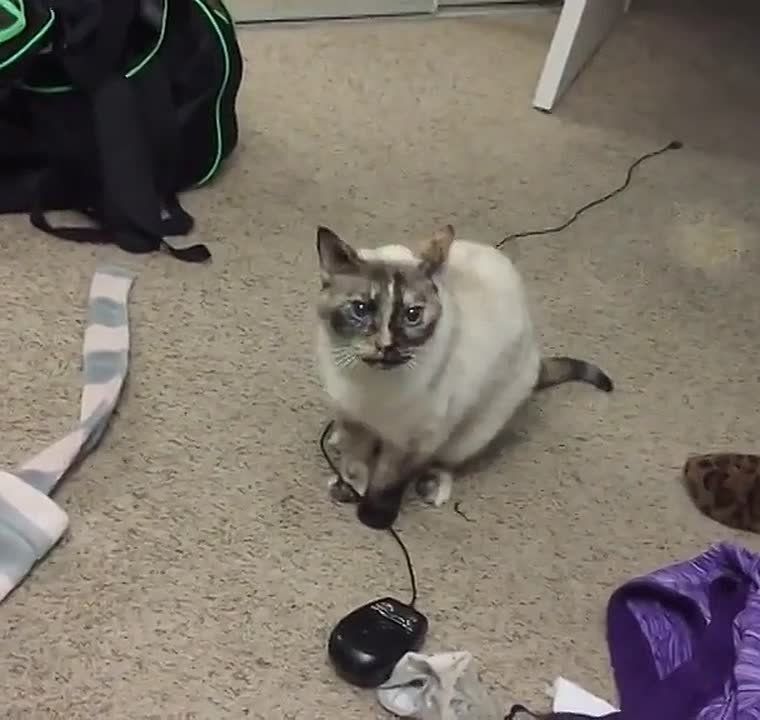  :    ,   