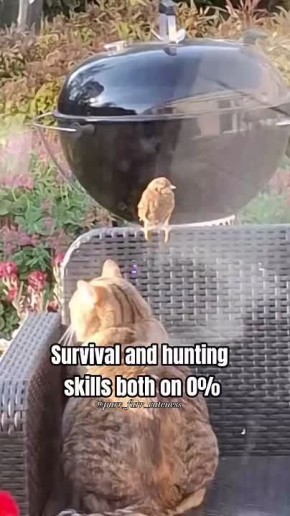 0%    