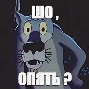  :      23:00 ,     ()  