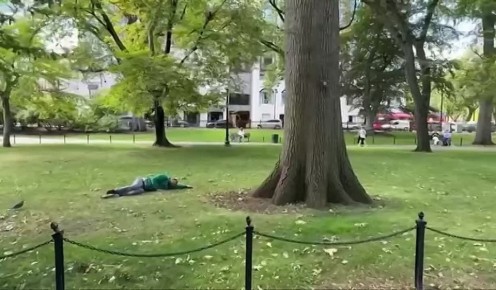   ,       ,     ,             