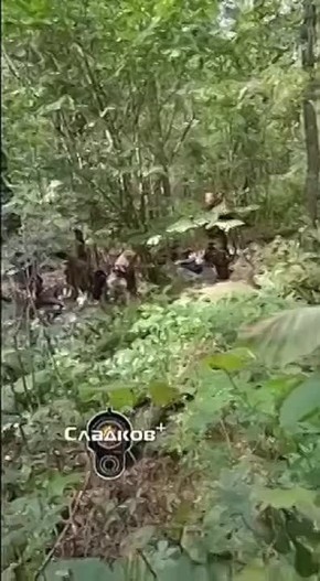        -         