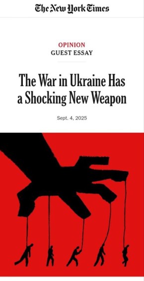 : New York Times     ,          