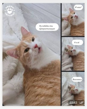      ! 