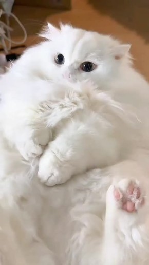  , !.   ,   !