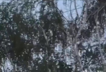 &quot;&quot;  .              -  Storm Shadow     