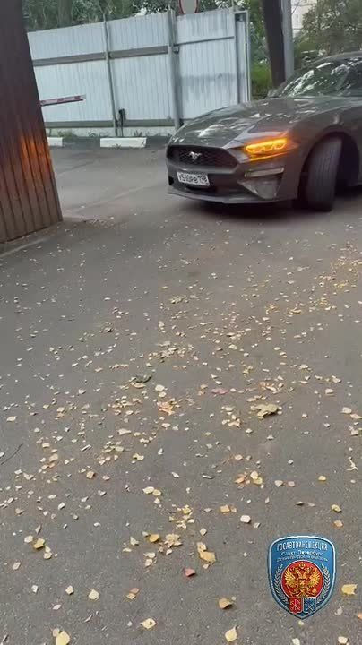 В Госавтоинспекции не оценили "аккуратные шашки в Питере"