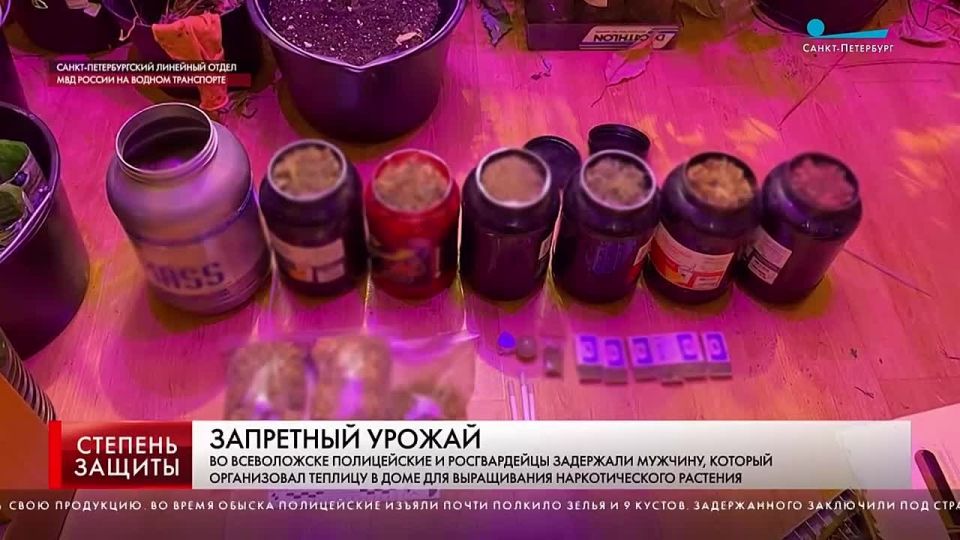 Канал Санкт-Петербург, программа «Степень защиты»