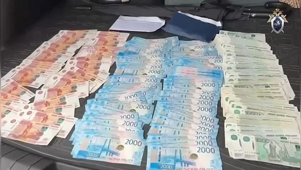 В Санкт-Петербурге возбуждено уголовное дело в отношении мужчины, подозреваемого в даче взятки должностному лицу