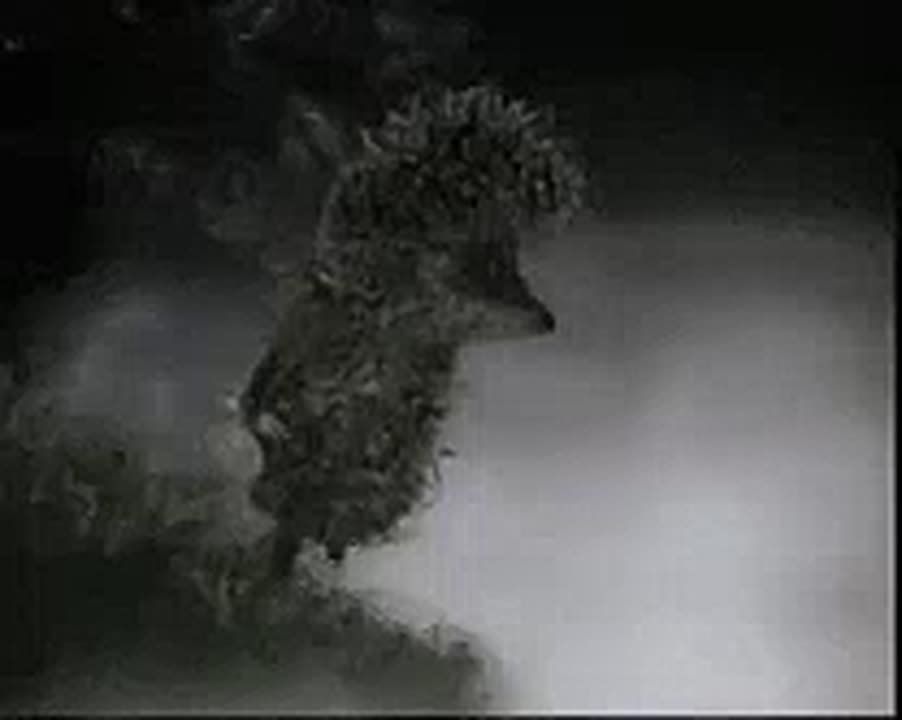 #_ :    &quot;- &quot;, 19   -         500   