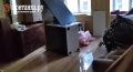 В доме 1/44 на Большой Зелениной, который сейчас восстанавливают после обрушения и подключают к отоплению, случилась авария