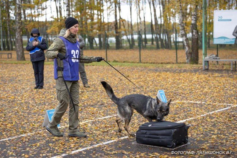 Команда МВД России заняла призовое место на юбилейном чемпионате БФСО «Динамо» по служебному многоборью кинологов