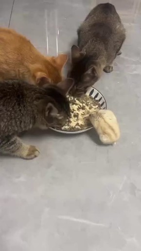  :      